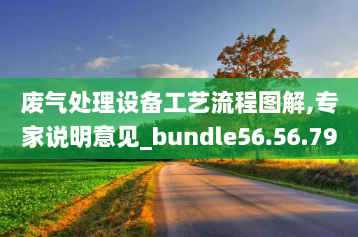 废气处理设备工艺流程图解,专家说明意见_bundle56.56.79