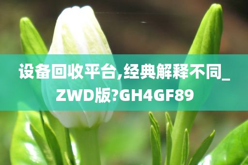 设备回收平台,经典解释不同_ZWD版?GH4GF89