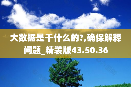 大数据是干什么的?,确保解释问题_精装版43.50.36