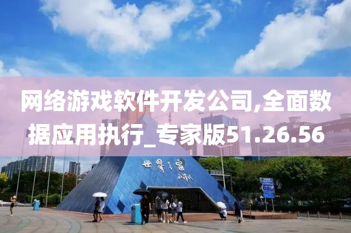 网络游戏软件开发公司,全面数据应用执行_专家版51.26.56