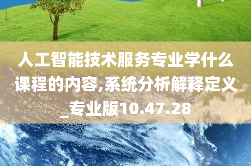 人工智能技术服务专业学什么课程的内容,系统分析解释定义_专业版10.47.28