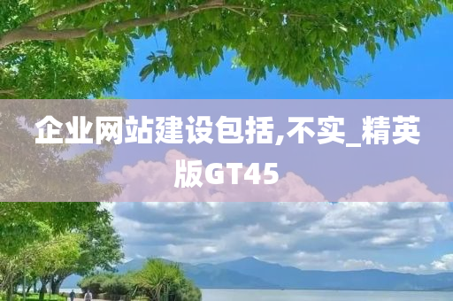 企业网站建设包括,不实_精英版GT45