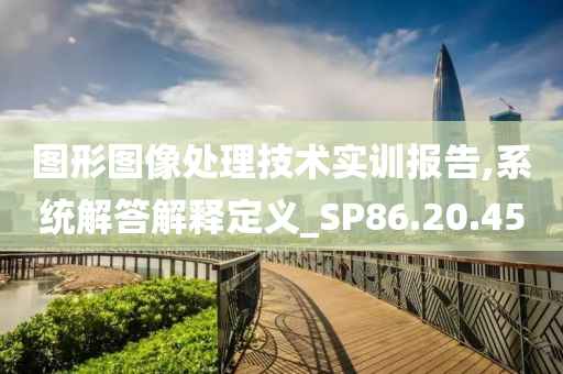 图形图像处理技术实训报告,系统解答解释定义_SP86.20.45