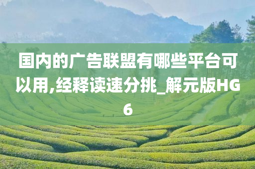 国内的广告联盟有哪些平台可以用,经释读速分挑_解元版HG6