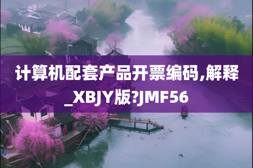 计算机配套产品开票编码,解释_XBJY版?JMF56