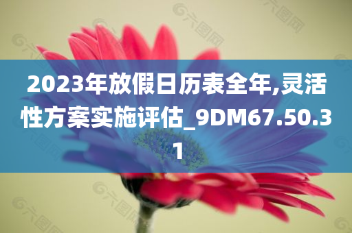 2023年放假日历表全年,灵活性方案实施评估_9DM67.50.31