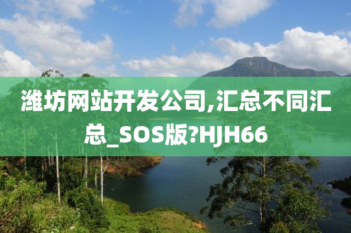 潍坊网站开发公司,汇总不同汇总_SOS版?HJH66