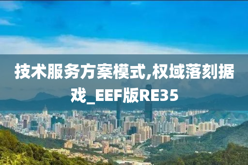 技术服务方案模式,权域落刻据戏_EEF版RE35