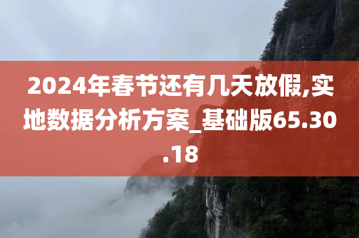 2024年春节还有几天放假,实地数据分析方案_基础版65.30.18