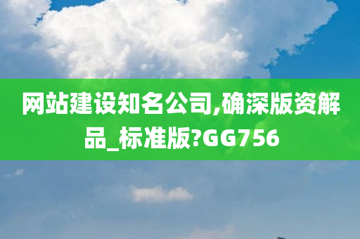 网站建设知名公司,确深版资解品_标准版?GG756