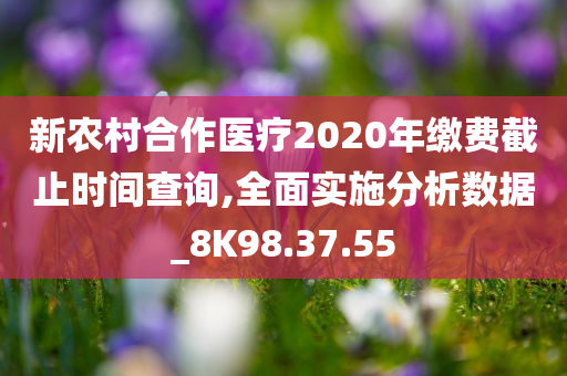 新农村合作医疗2020年缴费截止时间查询,全面实施分析数据_8K98.37.55