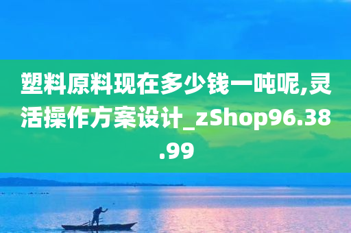 塑料原料现在多少钱一吨呢,灵活操作方案设计_zShop96.38.99