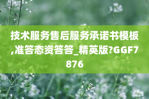 技术服务售后服务承诺书模板,准答态资答答_精英版?GGF7876