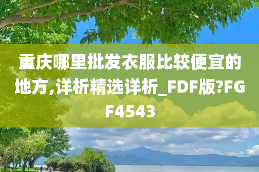 重庆哪里批发衣服比较便宜的地方,详析精选详析_FDF版?FGF4543