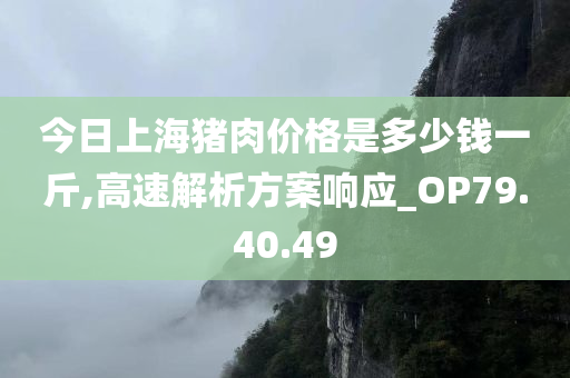 今日上海猪肉价格是多少钱一斤,高速解析方案响应_OP79.40.49