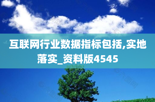 互联网行业数据指标包括,实地落实_资料版4545