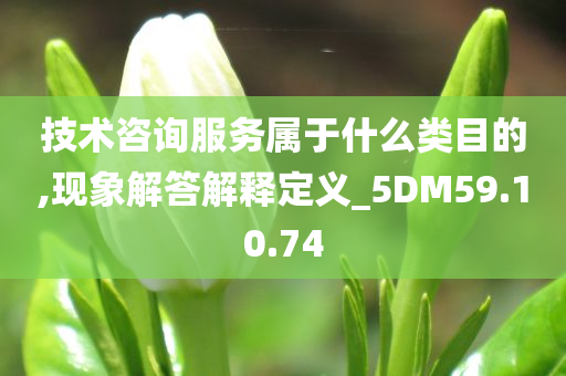 技术咨询服务属于什么类目的,现象解答解释定义_5DM59.10.74