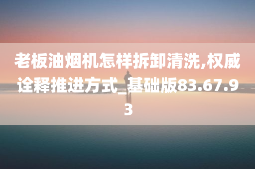 老板油烟机怎样拆卸清洗,权威诠释推进方式_基础版83.67.93