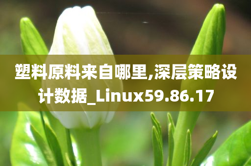 塑料原料来自哪里,深层策略设计数据_Linux59.86.17