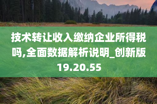 技术转让收入缴纳企业所得税吗,全面数据解析说明_创新版19.20.55