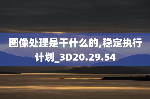 图像处理是干什么的,稳定执行计划_3D20.29.54