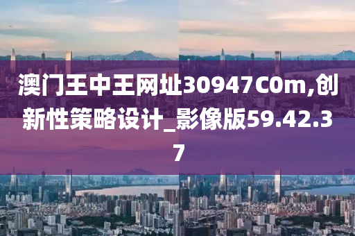 澳门王中王网址30947C0m,创新性策略设计_影像版59.42.37