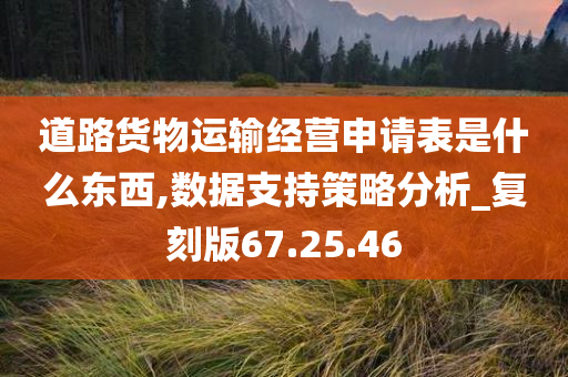 道路货物运输经营申请表是什么东西,数据支持策略分析_复刻版67.25.46