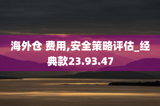 海外仓 费用,安全策略评估_经典款23.93.47