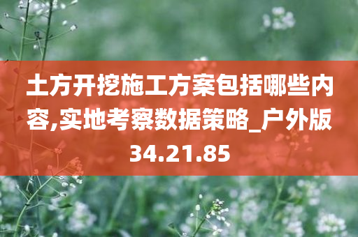 土方开挖施工方案包括哪些内容,实地考察数据策略_户外版34.21.85