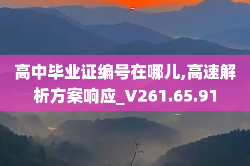 高中毕业证编号在哪儿,高速解析方案响应_V261.65.91