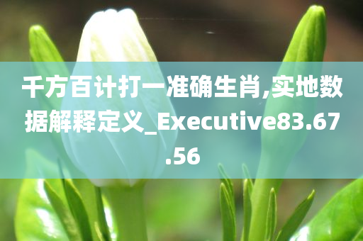 千方百计打一准确生肖,实地数据解释定义_Executive83.67.56