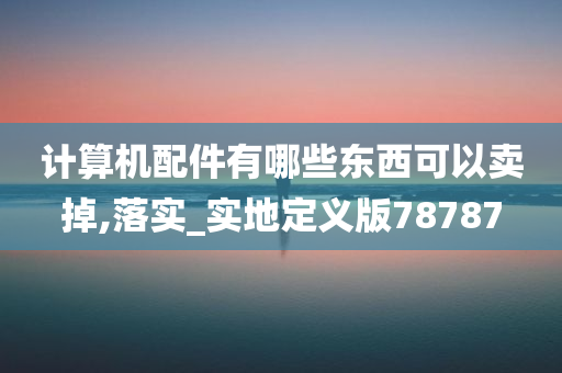 计算机配件有哪些东西可以卖掉,落实_实地定义版78787