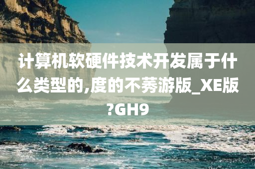 计算机软硬件技术开发属于什么类型的,度的不莠游版_XE版?GH9