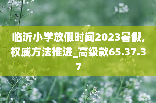 临沂小学放假时间2023暑假,权威方法推进_高级款65.37.37