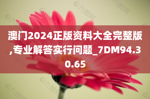 澳门2024正版资料大全完整版,专业解答实行问题_7DM94.30.65