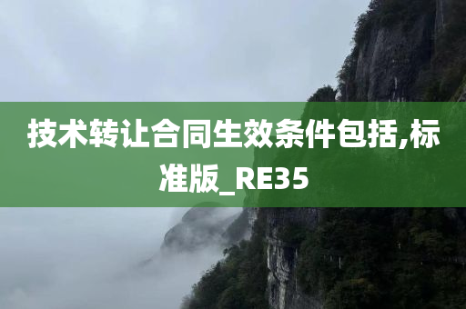 技术转让合同生效条件包括,标准版_RE35