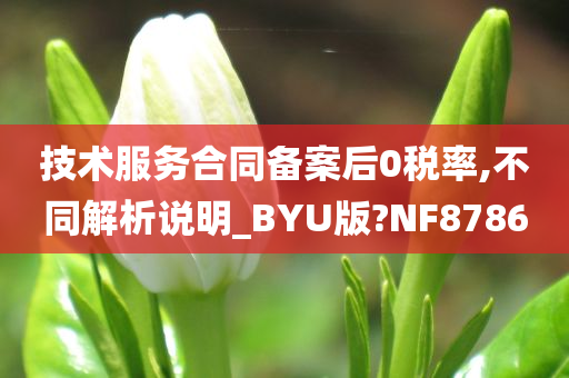 技术服务合同备案后0税率,不同解析说明_BYU版?NF8786