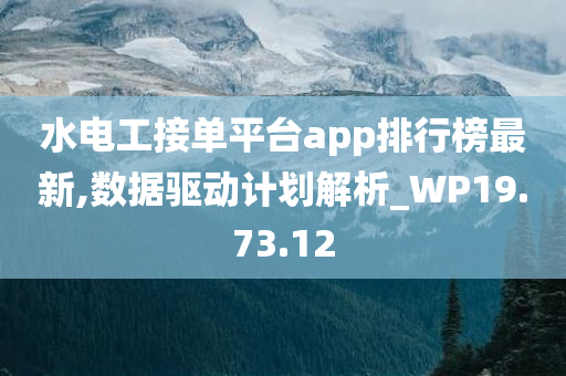 水电工接单平台app排行榜最新,数据驱动计划解析_WP19.73.12