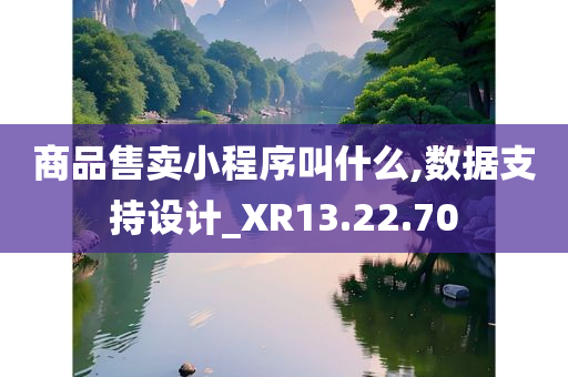 商品售卖小程序叫什么,数据支持设计_XR13.22.70