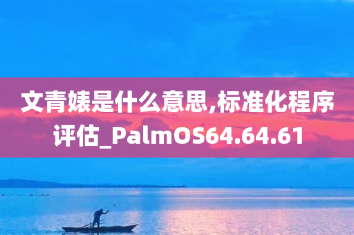 文青婊是什么意思,标准化程序评估_PalmOS64.64.61