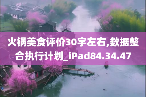 火锅美食评价30字左右,数据整合执行计划_iPad84.34.47