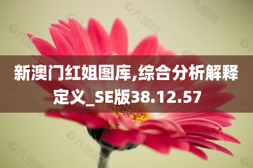 新澳门红姐图库,综合分析解释定义_SE版38.12.57