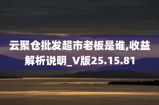 云聚仓批发超市老板是谁,收益解析说明_V版25.15.81