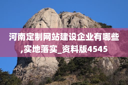 河南定制网站建设企业有哪些,实地落实_资料版4545