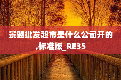 景盟批发超市是什么公司开的,标准版_RE35