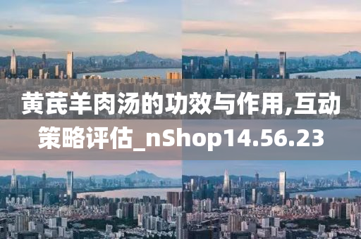 黄芪羊肉汤的功效与作用,互动策略评估_nShop14.56.23