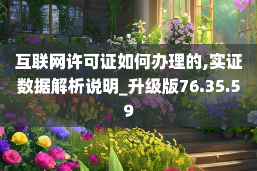 互联网许可证如何办理的,实证数据解析说明_升级版76.35.59