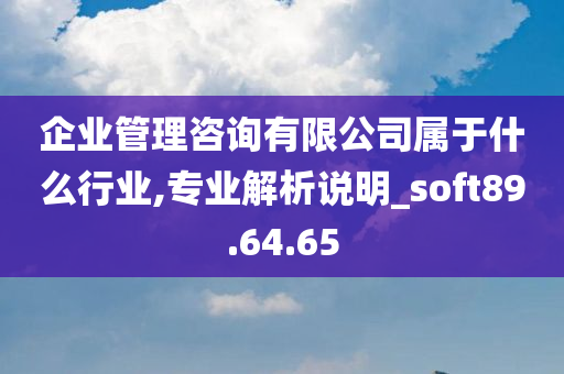 企业管理咨询有限公司属于什么行业,专业解析说明_soft89.64.65