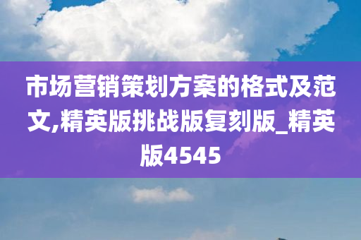 市场营销策划方案的格式及范文,精英版挑战版复刻版_精英版4545