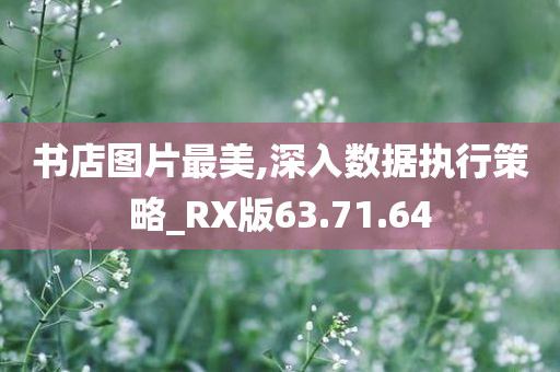 书店图片最美,深入数据执行策略_RX版63.71.64